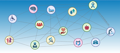 Translational and Clinical Aging Research